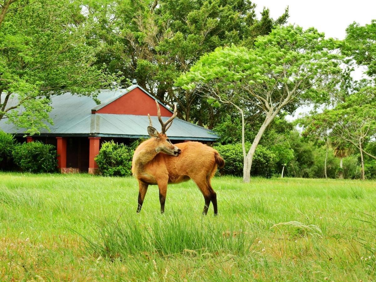 Estancia Ibera Colonia Carlos Pellegrini  Εξωτερικό φωτογραφία